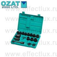 SET-08-08 Набор дюймовых ударных торцевых шестигранных головок 1/2" в пластиковом кейсе, 14 предметов