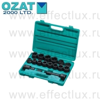 SET-12-02 Набор дюймовых ударных торцевых шестигранных головок 3/4" в пластиковом кейсе, 14 предметов