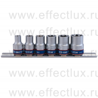 3106PR Набор торцевых головок 3/8" на планке, TORX Е-стандарт, E8-E18, 6 предметов